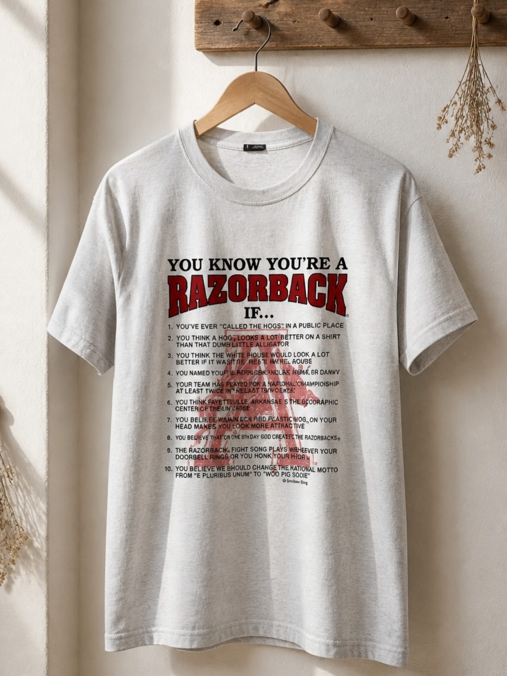Fruit of the Loom White Razorback Graphic Tee